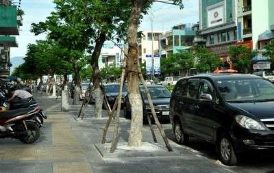 ghi bảo vệ gốc cây composite giúp thành phố sạch sẽ