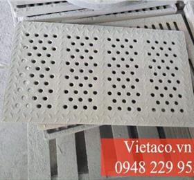 Tấm chắn rác composite lỗ nhỏ Việt Á